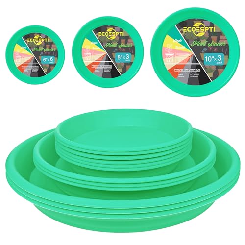 12Pcs Colourful Plant Saucer, 6 8 10 Inch Durable Plastic Plant Tray, Round Plant Pot Saucers, Drip Tray for Indoor and Outdoor Garden, Cyan - color: Cyan (Close to Green), size: 6"+8"+10"
