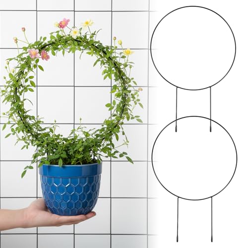 2 Pcs Trellis for Climbing Plants Indoor 14.5" Hoya Trellis Set Small Plant Support Stakes Round Climbing Plant Supports Flower Houseplant Hoya Support for Garden Stem Vines Potted Plants
