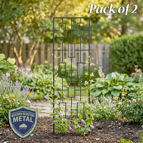 Panacea Black Metal Modern Climbing Plant Garden Trellis, 78" H, Set of 2