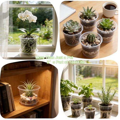 4/5/6 Inch Clear Nursery Pots with Drainage and Saucer for Multiple Crops