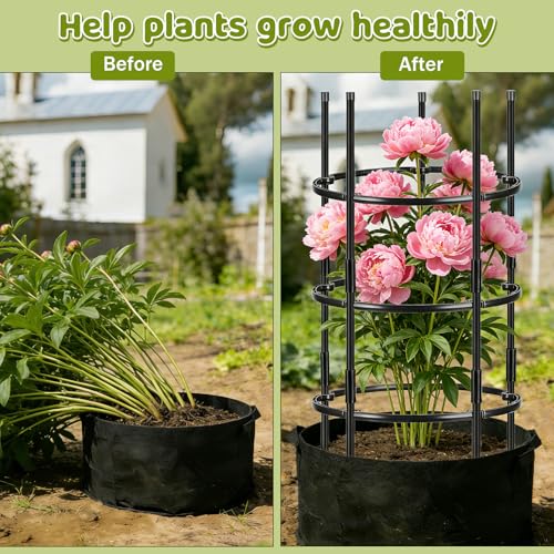 19.5" D x 39" H Peony Plant Support Cage,3-Tier Stackable
