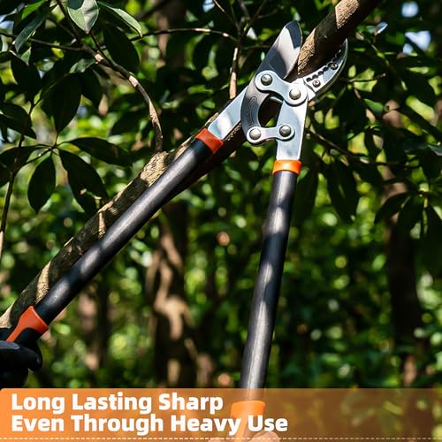 EWPJDK 3-Piece Loppers Hedge Shears Pruners Heavy Duty Combo Clippers - color: Orange