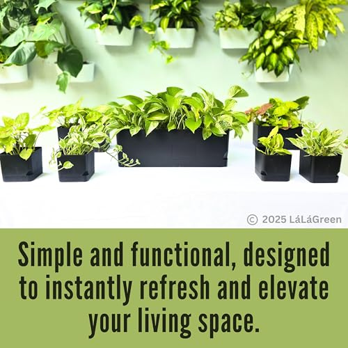 LaLaGreen Planters for Indoor Plants (7 Pack) Rectangular Flower Boxes - color: Black