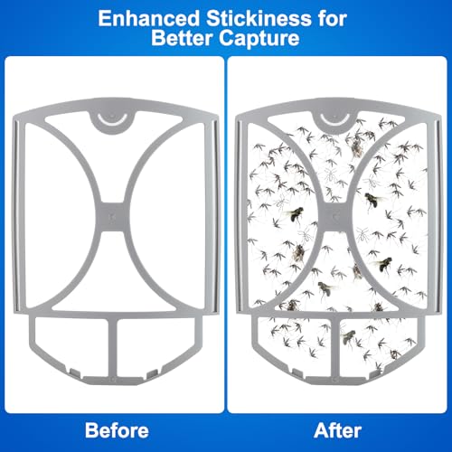 Flying Insect Trap for Fruit Flies,Gnats,1 Devices & 3 Refills