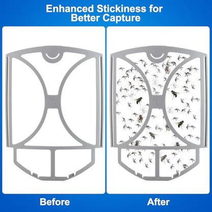Flying Insect Trap for Fruit Flies,Gnats,1 Devices & 3 Refills
