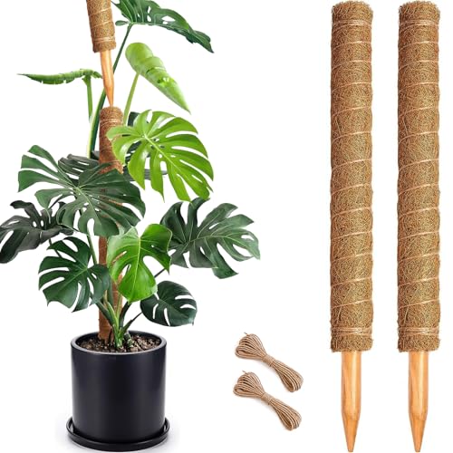 Soupiar 2 Pack 22 Inch Stackable Moss Pole - Thick & Sturdy Natural Coir Totem Plant Support & Garden Stakes for Monstera & Pothos, Indoor Climbing Vining Houseplants, 38" H Max - color: 2 × 22 Inch