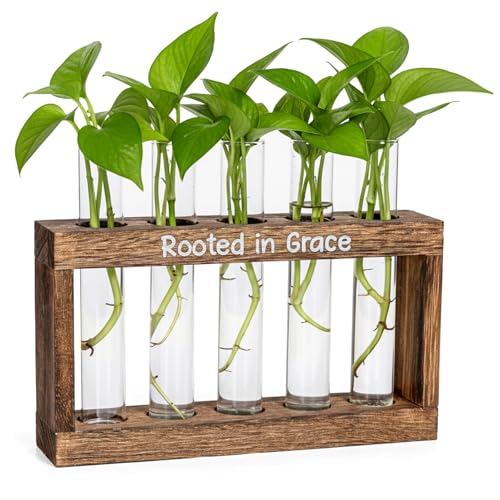 Rooted in Grace Plant Propagation Station – Wooden Stand with 5 Glass Vases, Faith-Inspired Christian Gift for Women, Indoor Plant Cutting Holder for Home, Office, Garden and Housewarming Décor - size: 5 Glass Vases