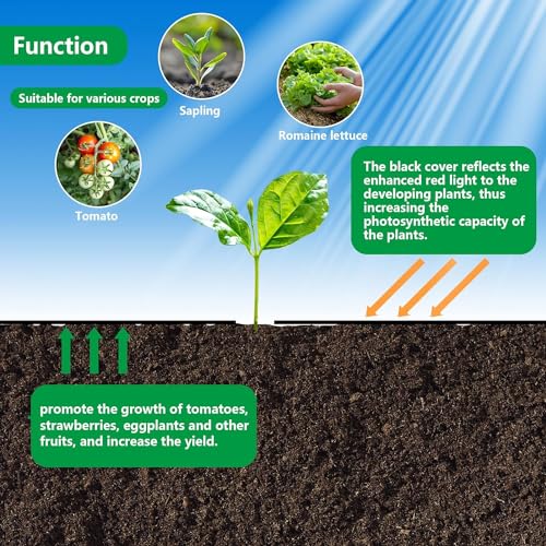 codree 26 x 6.5 Ft Garden Weed Barrier Landscape Fabric with Planting Holes- Heavy-Duty Garden Weed Control Barrier- Weed Block Gardening Mat with 10 Ground Nail for Outdoor Garden - color: 6.5x26ft