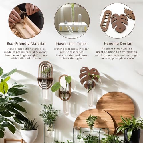 Artilady Plant Propagation Station Wall Hanging, Moon Phase Plant Terrarium - color: Moon Phase Wood