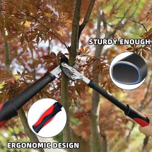 YRTSH Loppers for Tree Trimming Heavy Duty Branch Cutter, 1.6" Cut Capacity - style: Lopper 18 Inch