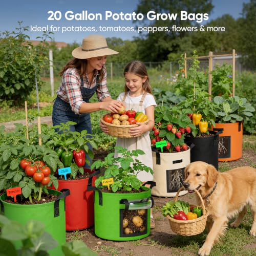 20 Gallon Potato Grow Bags: 5 Pack Colorful Gardening Supplies Fabric Pots - size: 5 Pack-20 Gallon