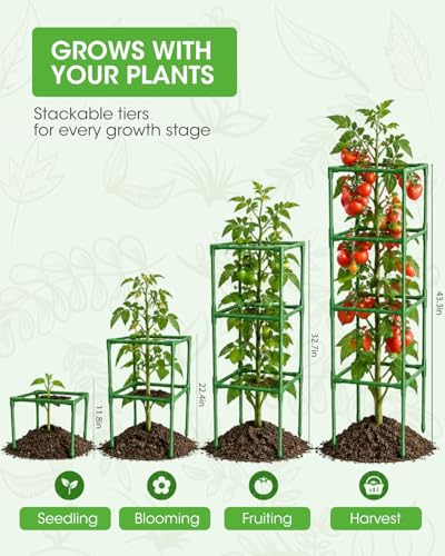 3 Pack Tomato Cages,Square Tomato Plant Stakes Support Cages Trellis for Garden Climbing Vegetables Flowers Fruits,Extra Bold - color: green
