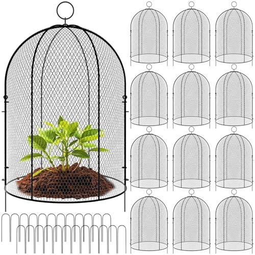 Novabright 12 Pack Garden Cloches for Plants 12" x 16" with Stakes & Zip Ties, Plant Covers from Animals Large Metal Mesh Chicken Wire Cloche Plant Protector Cage for Vegetable Garden Outdoor (Black) - color: black
