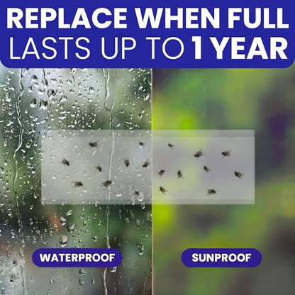 50 Window Fly Traps Sticky Non-Toxic Clear Fly Paper Indoor for Home. No Mess Flies Window Sticky Traps Bug Flies Strips Indoors. Fruit and Housefly Trap Indoor Flypaper Tape Gnat Catcher Killer