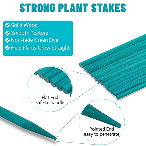 Jetec 120 Pieces Plant Support, Include 18 Inch Wood Plant Stake, Plant Clips, Garden Plants Bamboo Stake Craft Floral Picks Orchid Clips, Green
