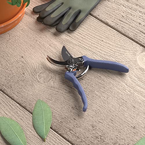 Amazon Basics Professional Bypass Pruning Shears, Garden Clippers, 8-inch Steel Hand Pruners, Rust Resistant with Ergonomic Non-Slip Grip for Trimming Plants and Cutting Flowers, Blue - size: 8-inch