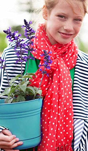 Bloem Saturn Planter with Saucer, 7", Amaranth (SP0722) - color: Amaranth, size: 7"
