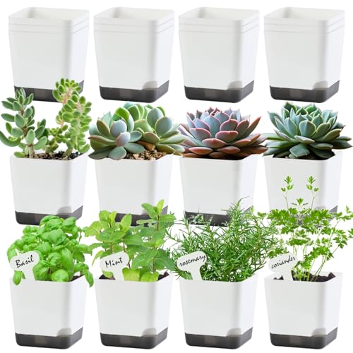 Oliz 3" Small Succulent Pots, 20pk Plastic Planters w/Drainage & Saucers - size: Mini White Pots 20 Pack