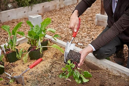 Corona Stainless Steel ComfortGEL Transplanter, red - size: red, style: Transplanter