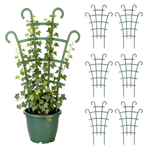6PCS Indoor Small Trellis,Stackable Plant Trellis for Indoor Climbing Plants,Small Plant Climbing Trellis for Potted Plants Plastic Climbing,Potted Plant Trellis for Houseplants - color: 6PCS