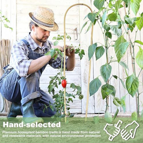 Jollybower Natural U-Hoops Bamboo Plants Trellis 4Ft, Garden Trellis U-Shape for Climbing Plants, Garden Arch Support for Potted Plants, Vines, Ivy Climbing Plants, Flowers-3 Pack - size: U-Shaped 4Ft