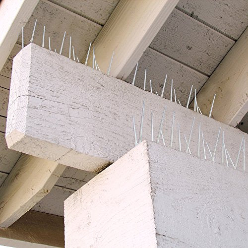 Bird B Gone EnviroSpike Plastic Bird Spikes, 100ft, Clear - size: 100 Feet Long