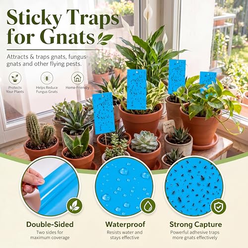 Qualirey 100 Pcs Blue Sticky Traps for Thrips 7.8 X 3.9 Inch - color: Blue, size: 7.8 x 3.9 Inch