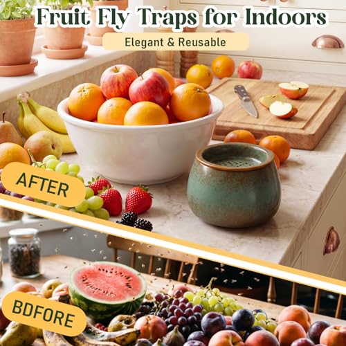 1 Pack Ceramic Fruit Fly Traps Reusable, Reactive Glaze, Patina Green - color: Patina Green, size: Reactive Glaze