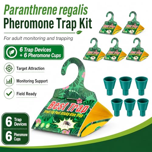 6 Pack Codling Moth Traps for Grapevines with Pheromone Lures – Triangular Hanging Sticky for Grapevines, Includes 6 Traps & 6 Lures, for Orchard & Garden Use