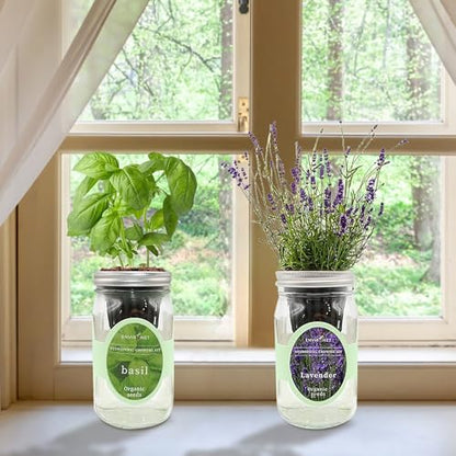 2-Pack Hydroponic Mason Jar Herb Garden Kit, Indoor Herb Garden Self-Watering Starter Kit (Basil,Lavender)