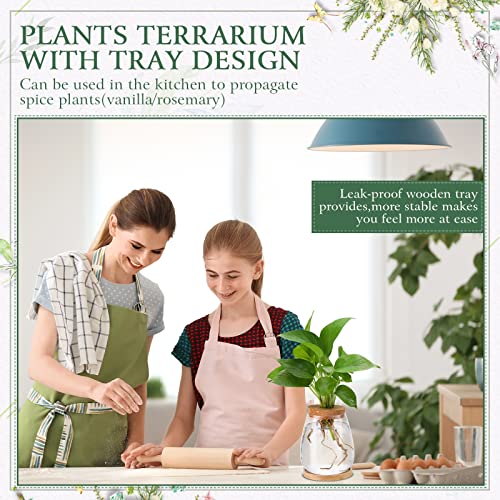 Nuanchu 4 Pcs Desktop Plant Terrarium Vase, Large