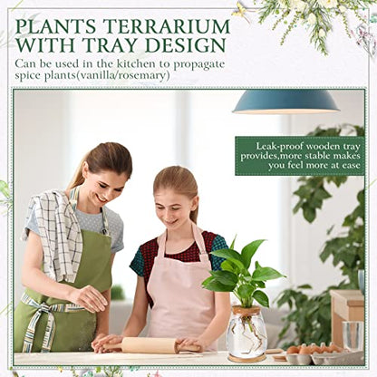 Nuanchu 4 Pcs Desktop Plant Terrarium Vase, Large