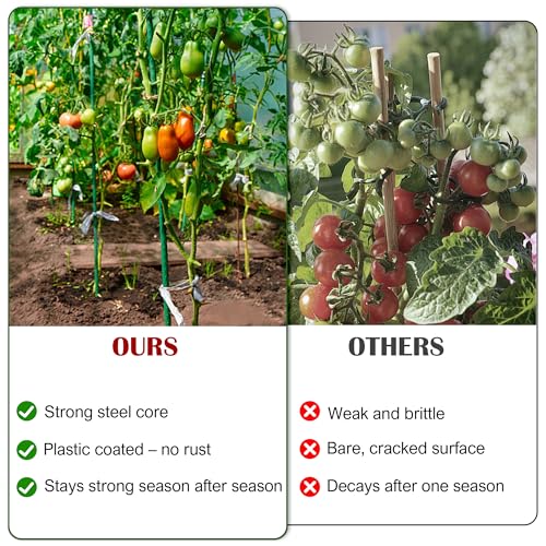 FORUP Garden Stakes, 25 Pack Steel Plant Stakes with Plastic Coating for Climbing Plants, Tomato Eggplant Bean Support, Rust-Resistant Outdoor Garden Stakes (48 Inch)