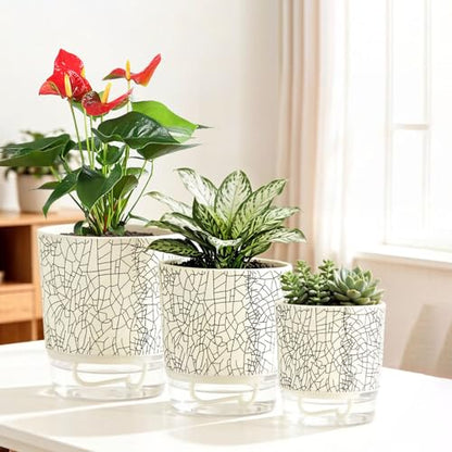 3 Pack 4.3+5.5+6.3 Inch Self Watering Pots Set, Self Watering Planter with Reservoir and Wick Rope for Indoor/Outdoor Plants, Modern Houseplants Pots for African Violets,Cactus,Herbs,Succulents