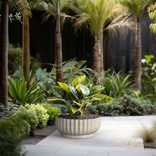 Kante Large Round Shallow Weathered Concrete Planter 20.9" Dia, Outdoor - color: Weathered Concrete, size: 20.9"w x 8.3"h