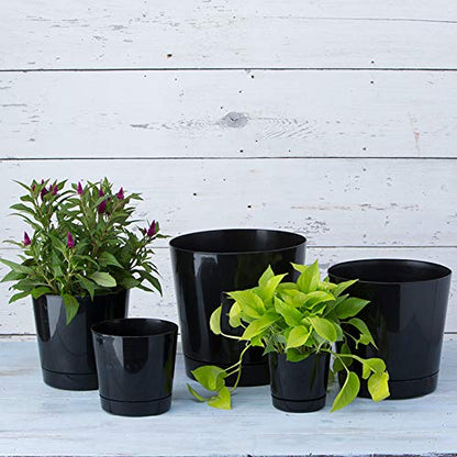 Novelty Majestic Full Depth Round Cylinder Pot, Glossy Black, 6-Inch (10068) - color: Black, size: 6 Inch