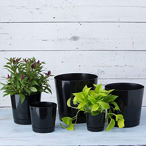 Root & Vessel Majestic Full Depth Round Cylinder Pot, Glossy Black, 8-Inch (10088) - color: Black, size: 8 Inch