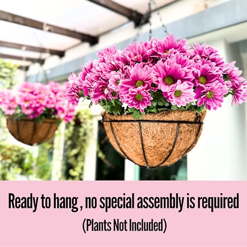 LaLaGreen Large Hanging Baskets (14 in, 6 Pack) Black Metal Coco Liner Pots - size: 14" x 6 Pack