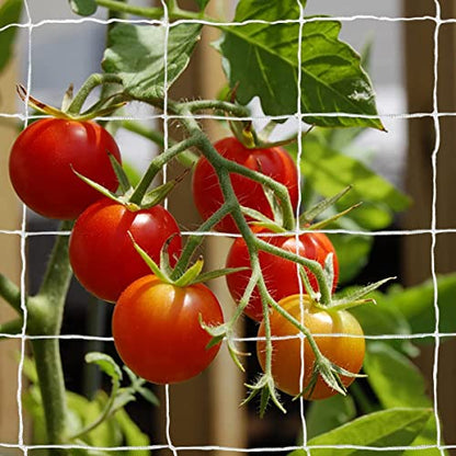 Tcamp Heavy-Duty Polyester Plant Trellis Netting 5 x 15ft (2 Pack) (5 Ft X 15 Ft) - size: 6" Mesh (5*15Ft) (Pack of 2)