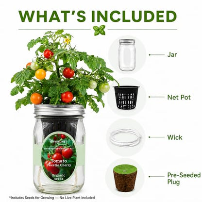 Hydroponic Tomato Growing Kit, Self-Watering Mason Jar Tomato Garden Starter Kit Indoor, Grow Tomatoes from Organic Seeds (Sweetie Cherry Tomato) - color: Sweetie Cherry Tomato