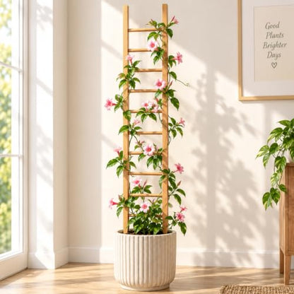 Plant Trellis Indoor 31" Wood Climbing Support for Hoya Pothos, Ivy & Vines - size: 31" H