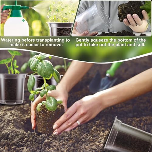 SupKing Clear Nursery Pots 6/5/4 Inch Plastic Seed Starter,12 Pack Plastic Pots for Plants with Drainage Holes for Transplanting Succulents Cuttings Come with 15 Seedlings Labels - size: 4/5/6 Inch