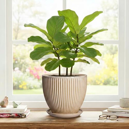 8 Inch Pots for Plants, Ceramic Planter with Saucer, Beige - color: Beige, size: 8 Inch