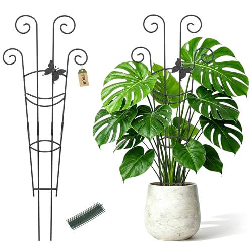 Plant Trellis 2 Pack Trellis for Potted Plants 29.96 in Trellis for Climbing Plants Indoor Plant Support Expandable Metal Monstera Plant Support for Pothos Ivy with Plant Ties - size: 29.96in, 2P