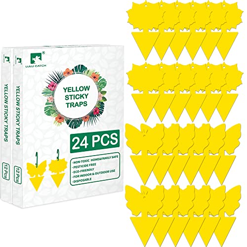 LULUCATCH Fruit Fly Sticky Trap 24 Pack, Yellow Sticky Trap Safe Gnat Traps, Super Sticky Fly Trap for Indoor, Outdoor, Kitchen, Insect Catcher for White Flies, Mosquitos, Fungus Gnats, Flying Insects - size: 24 Pack