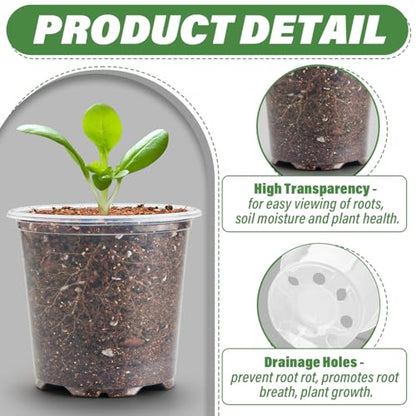 RooTrimmer 3.5" Clear Seeding Pots 100-Pack Round for Seeds Starter Pots, Seeds Germination Transparent Nursery Pots with Drainage Holes (100PCS) - size: 3.5Inch 100P