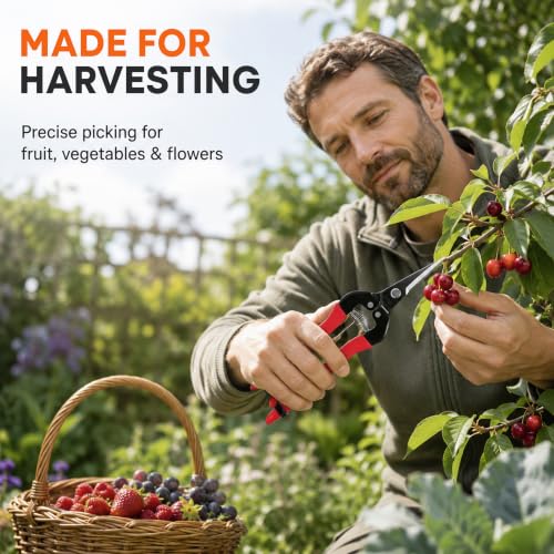ARS HP-300L Needle Nose Fruit Pruners
