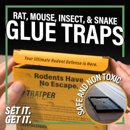 TRATPER Glue Traps for Mice,Rat,Mouse,Snake,Lizard,Insect. 20 Pack. Extra Strength,Pre-Baited Adhesive.Heavy Duty Plastic Tray.Non-Toxic,Chemical-Free Pest Control for Home. 20Pack - size: 20 Pack