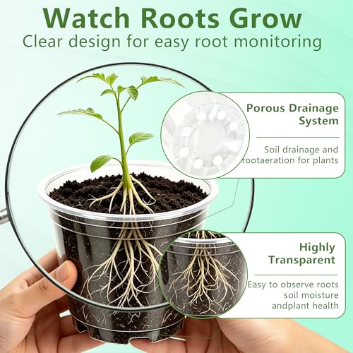 Clear Nursery Pots with Drainage 3.5 Inch: 100 Pack See Roots Stop Root Rot