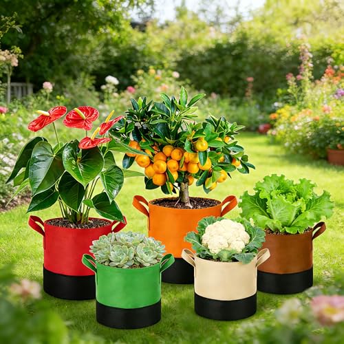 10 Gallon Fabric Grow Bags 5-Pack, 350G Heavy Duty Nonwoven Fabric Pots with Handles, Breathable Grow Planter for Vegetables Flowers Indoor Outdoor Gardening - size: 10 Gallon